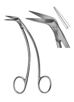  Scissors